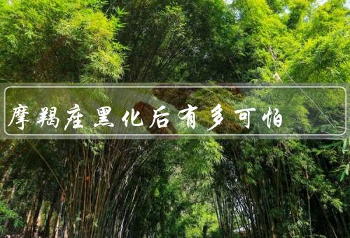 摩羯座黑化后有多可怕，具有冷酷无情的特点／异常的阴暗