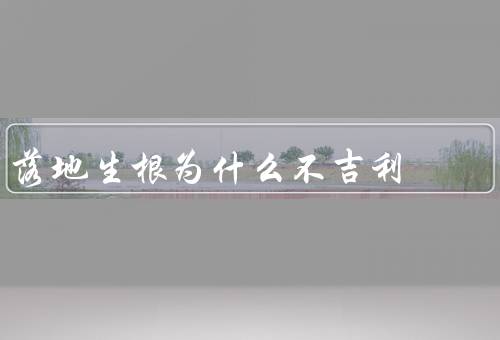 落地生根为什么不吉利，破坏土地平衡、带来灾难和不幸