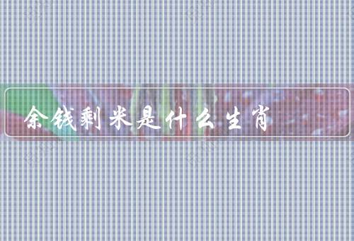 余钱剩米是什么生肖（特点、余钱剩米意义、生活态度）