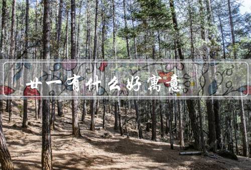 廿一有什么好寓意（青春的开始／成长的机遇／幸福的未来）