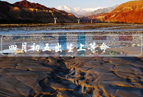 四月初五出生上等命（天赋异禀／机智过人／追求卓越）