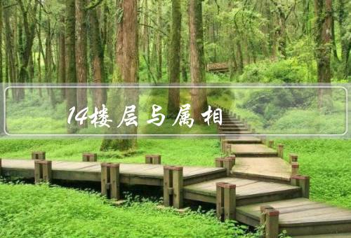 14楼层风水与属相，属相与14楼层的关系／14楼层的布局