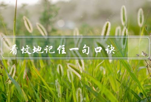 看坟地记住一句口诀，高低，土地肥瘠／平缓，土地广阔