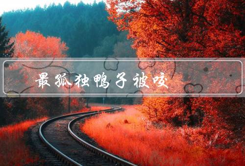 最孤独鸭子被咬死（最孤独的鸭子、凶残的鳄鱼、无人知晓的悲剧）