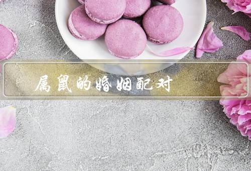 属鼠的最佳婚姻配对（牛的最佳婚姻配对、猴的最佳婚姻配对）
