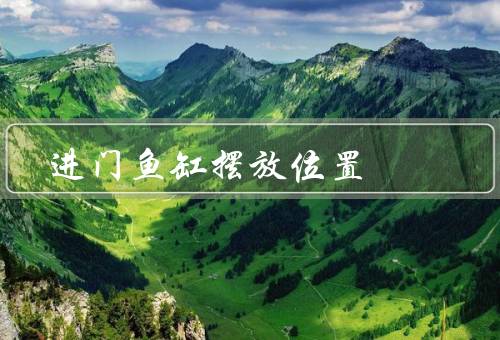 进门鱼缸摆放位置风水，位置／朝向／注意事项