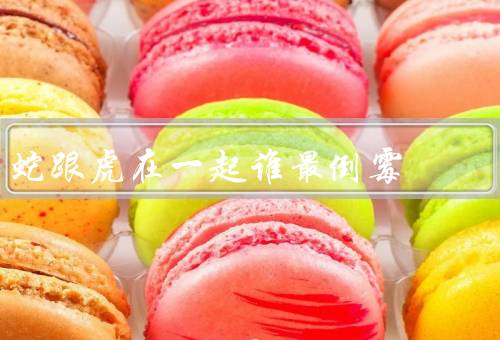 蛇跟虎在一起谁最倒霉（与虎的相处／倒霉经历／虎的倒霉经历）