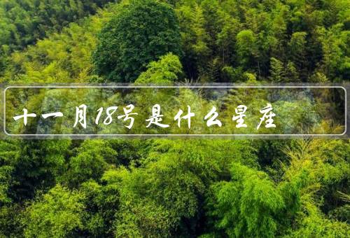 十一月18号是什么星座，人物特点／职业发展／健康生活