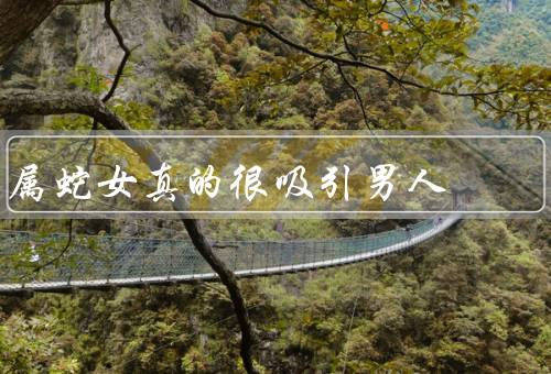 属蛇女真的很吸引男人（直觉敏锐、智慧与魅力并存、独立自信）
