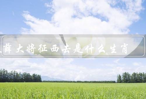 天薛大将征西去是什么生肖，征西去／生肖／结论