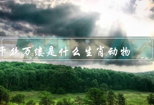 千丝万缕是什么生肖动物，纠缠情感世界、人际关系、思维逻辑
