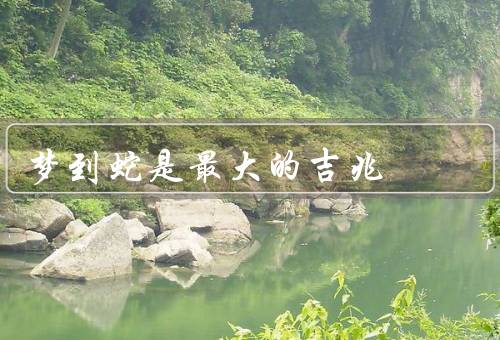 梦到蛇是最大的吉兆，预示着财富的到来、暗示着健康与长寿