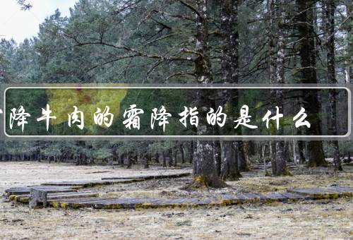 霜降牛肉的霜降指的是什么，特点／烹饪方法／营养价值
