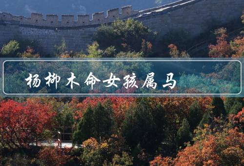 杨柳木命女孩属马（个性特点／职业选择／爱情观）