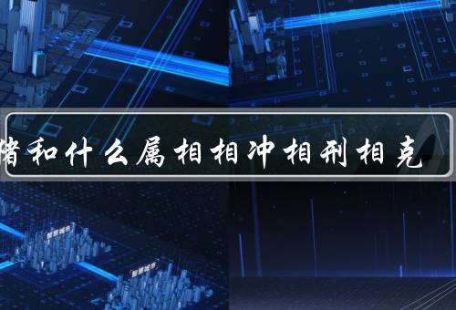 属猪和什么属相相冲相刑相克（相冲生肖：属羊、相刑生肖：属蛇）
