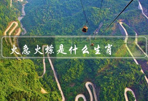火急火燎是什么生肖（特点／职业选择／爱情和婚姻）