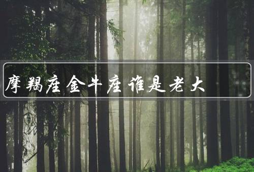摩羯座金牛座谁是老大，工作态度／决策能力／沟通能力