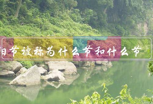 重阳节被称为什么节和什么节，登高节、敬老节、重阳节的意义