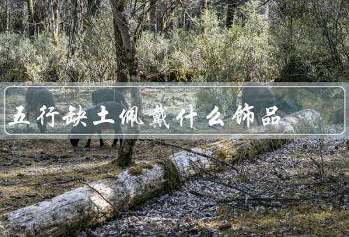 五行缺土佩戴什么饰品（翡翠手链、黄玉佛吊坠、土系水晶项链）