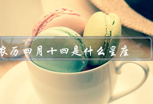 农历四月十四是什么星座（特点／爱情观／事业发展）