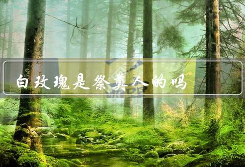 白玫瑰是祭奠死人的吗，象征意义／用于祭奠的原因