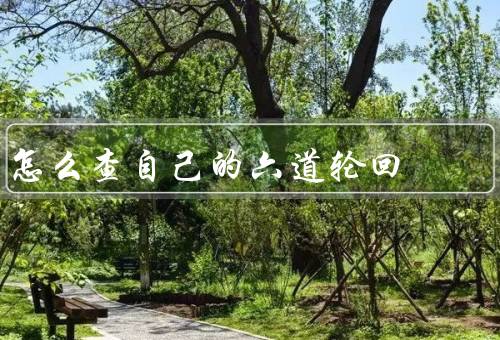 怎么查自己的六道轮回（观察自身行为／寻求指导和反思／修行和改变）
