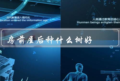 房前屋后种什么树好，樱花树／紫薇树／香樟树