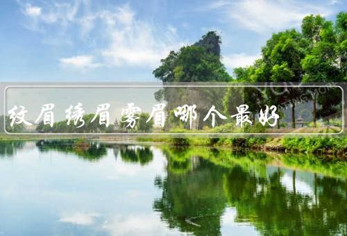 纹眉绣眉雾眉哪个最好（自然程度、持久性、安全性）