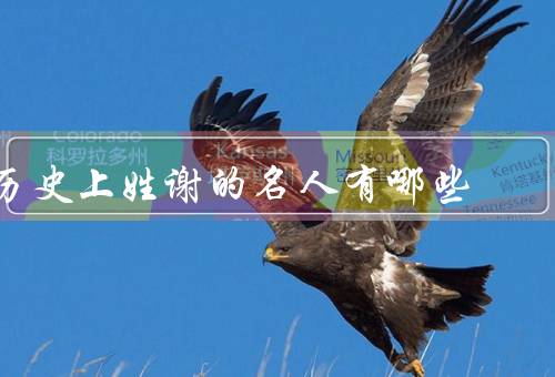 历史上姓谢的名人有哪些（谢安、谢霆锋、谢菲尔德）