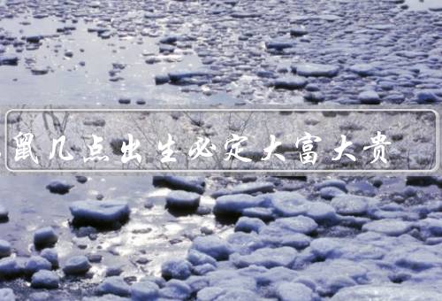 属鼠几点出生必定大富大贵（聪明才智、创业精神、善于理财）