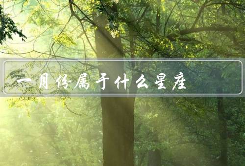 一月份属于什么星座（特点、爱情观、职业发展）