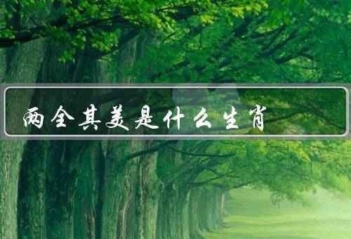 两全其美是什么生肖，特点／行事风格／成功案例