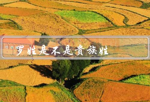 罗姓是不是贵族姓，起源／分布／在历史中地位
