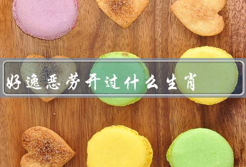 好逸恶劳开过什么生肖，猴的人、兔的人、属猪的人