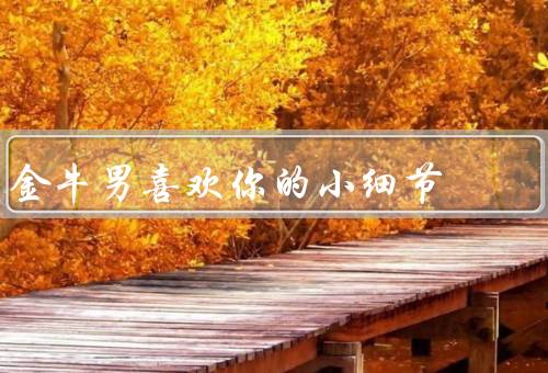 金牛男喜欢你的小细节（细心观察／贴心照顾／稳定依赖）