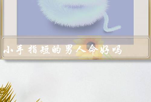 小手指短的男人命好吗，命好吗？、命不好吗？、结论