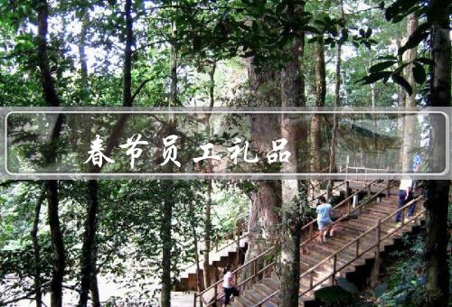 春节员工福利礼品，重要性／选择／意义