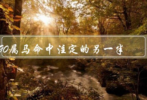 90属马命中注定的另一半（相似的个性特点／共同的兴趣爱好）