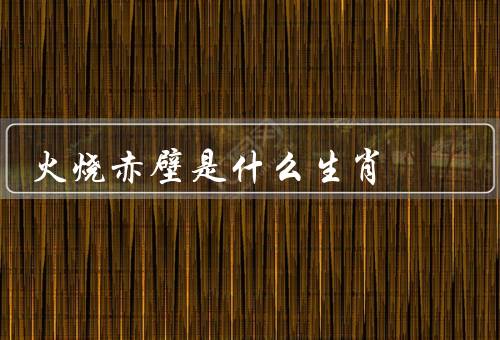 火烧赤壁是什么生肖，火烧赤壁／猪生肖／结语