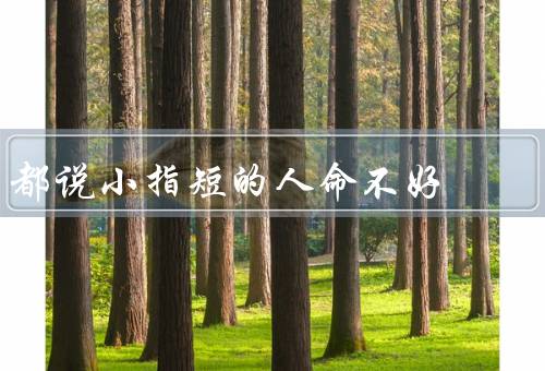 都说小指短的人命不好（命运有关／会影响事业发展／财富有关）