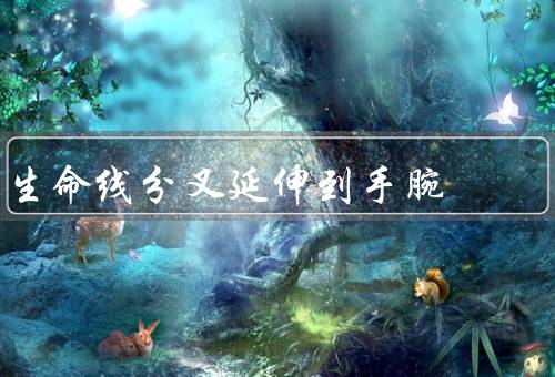 生命线分叉延伸到手腕（生活多样性／决策困扰／灵感源泉）