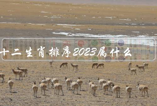 十二生肖排序2023属什么（性格特点、事业发展、感情生活）