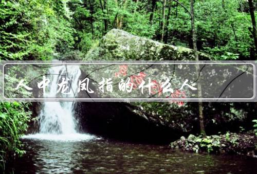 人中龙凤指的什么人，特质／影响／如何成为