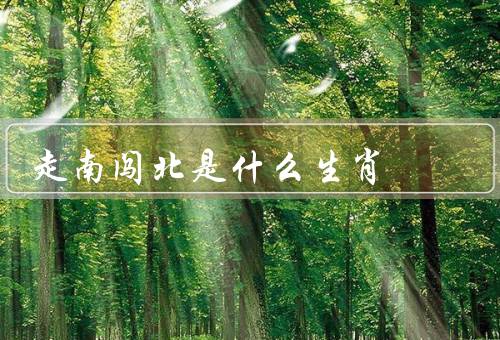 走南闯北是什么生肖（特点／优势／建议）