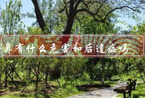 隆鼻有什么危害和后遗症吗（手术风险、术后并发症、后遗症）