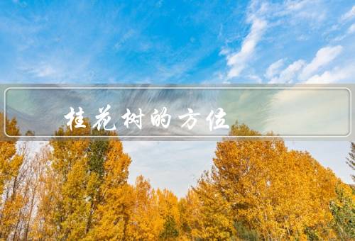 桂花树的风水方位，方位／禁忌／意义