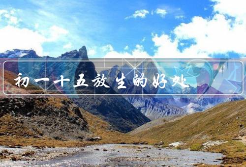 初一十五放生的好处（培养善心慈悲心、减少动物的痛苦）