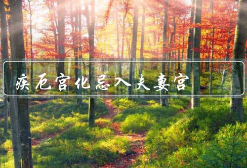 疾厄宫化忌入夫妻宫，婚姻的影响／感情的影响／宫的化解方法