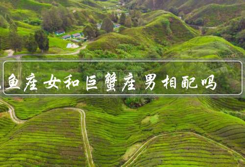 双鱼座女和巨蟹座男相配吗（性格特点、相似之处、相互补充）