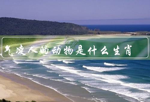 盛气凌人的动物是什么生肖，盛气凌人的动物属于生肖龙